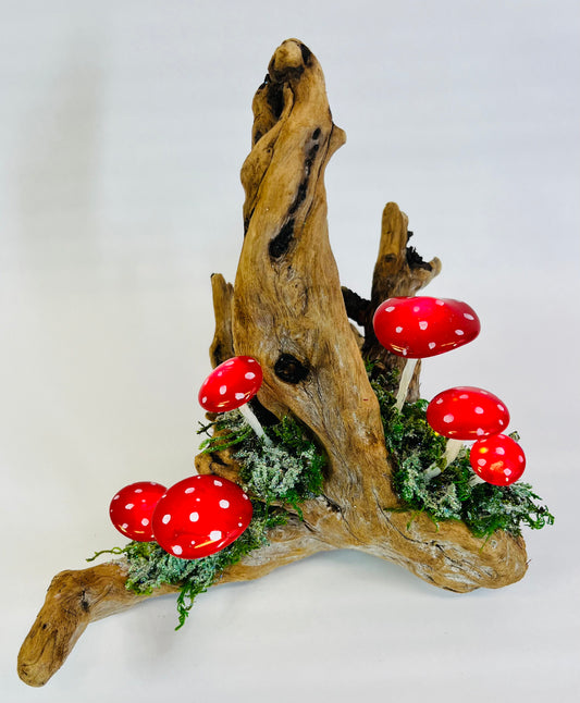 Toadstools on Driftwood - Saturday December 7th - 9am to 1pm