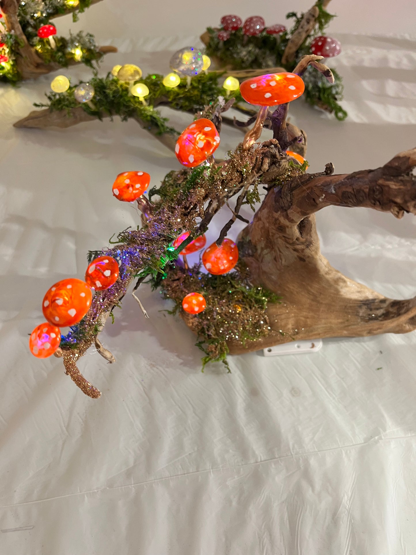 Toadstools on Driftwood - Saturday December 7th - 9am to 1pm