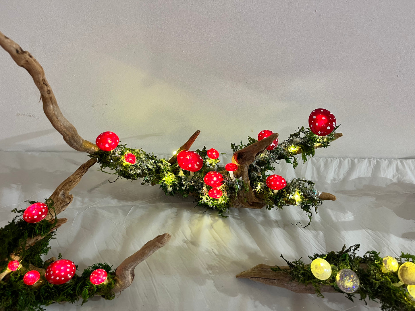 Toadstools on Driftwood - Saturday December 7th - 9am to 1pm