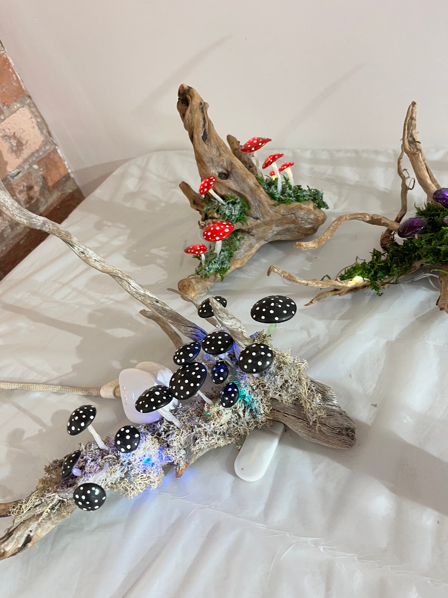 Toadstools on Driftwood - Saturday December 7th - 9am to 1pm